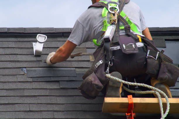 Best Roof Ventilation Installation  in Leesburg, GA